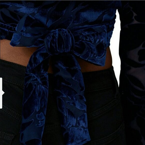 Hutch Velvet Crop Top - Picture 9 of 9